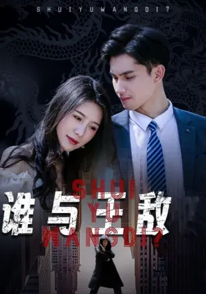 谁与王敌海报