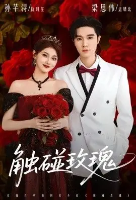 触碰玫瑰(凌晨四点半,玫瑰花未眠)海报