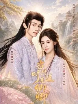当时只道是卿卿海报