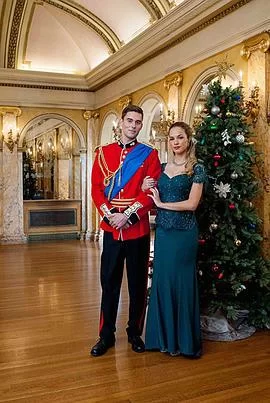 我的圣诞王子海报