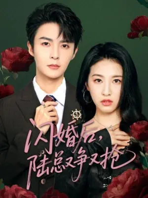 闪婚后,陆总又争又抢海报