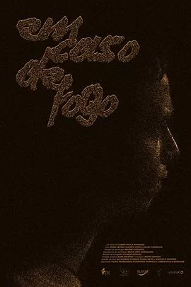 可能的山火海报