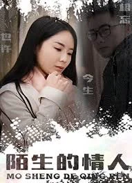 陌生的情人海报