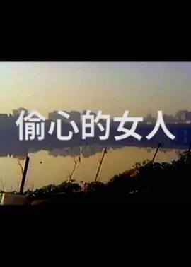 偷心的女人海报