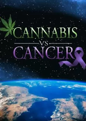 关于大麻和癌症海报