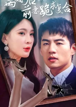 离婚后,前妻跪求复合海报