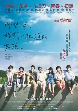 那些年,我们一起追的女孩2011海报