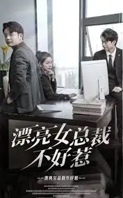 漂亮女总裁不好惹海报