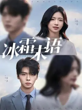 冰霜未语海报