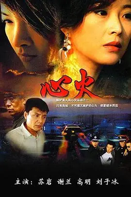 心火海报
