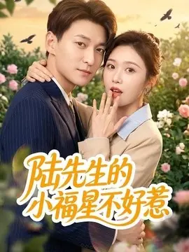 陆先生的小福星不好惹海报