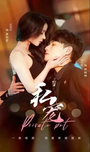 私宠海报