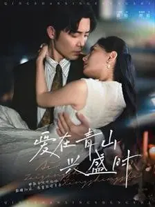爱在青山兴盛时海报