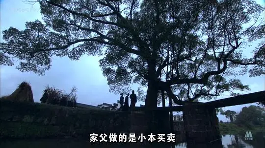 烽火岁月海报