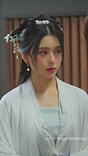 逍遥小贵婿海报