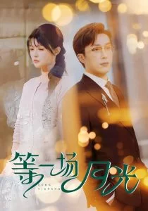 等一场月光海报