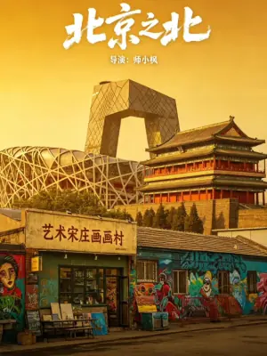 北京偏北-宋海报