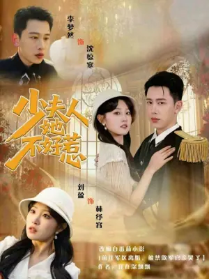 少夫人她不好惹海报