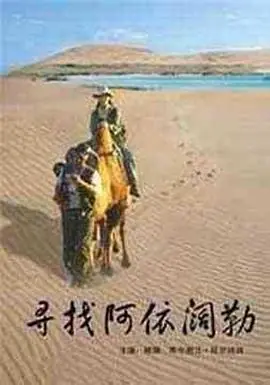 寻找阿依阔勒海报
