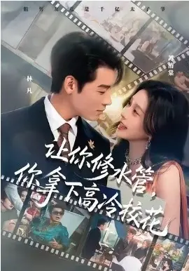 让你修水管,你拿下高冷校花海报