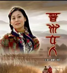 晋州女人海报