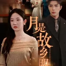 月是故乡明海报