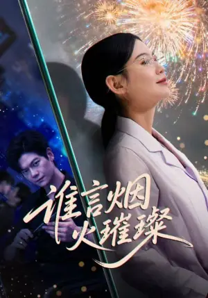 谁言烟火璀璨海报