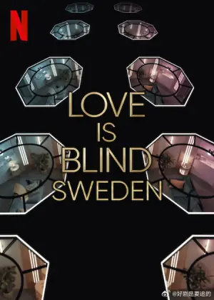 爱情盲选:瑞典篇第三季海报