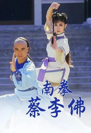 南拳蔡李佛海报