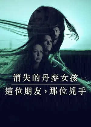 消失的丹麦女孩:这位朋友海报