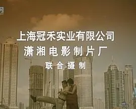 给太太打工海报