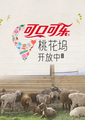 桃花坞开放中第四季海报