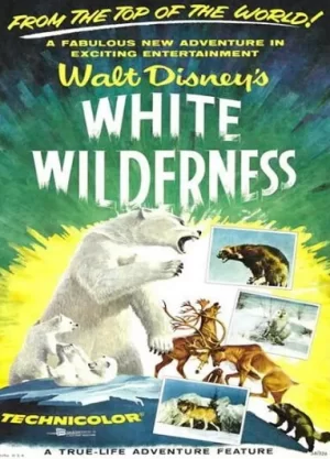 白色的荒地海报