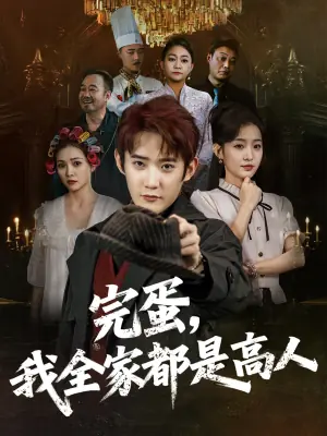完蛋我全家都是高人海报