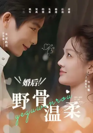 婚后:野骨温柔海报