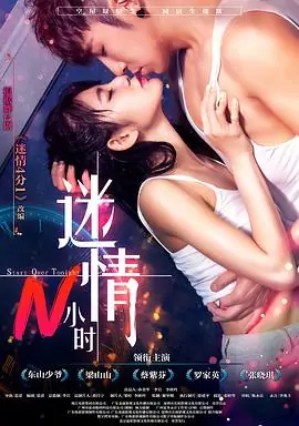 迷情小姨子海报