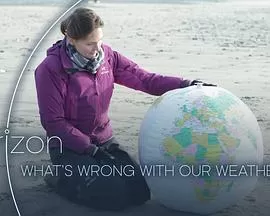 地平线:我们的天气怎么了?海报