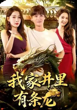 我家井里有条龙海报