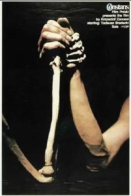 山巅的呼唤海报