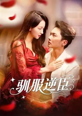 驯服逆臣海报