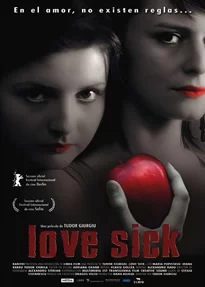 爱情跷跷板/痛爱海报