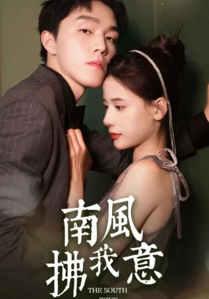 南风拂我意海报
