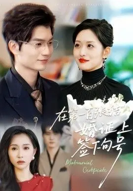 在第一百张结婚证上签下句号海报