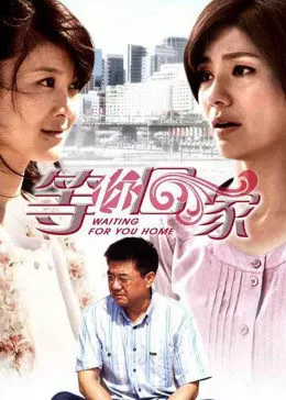 我在等你回家海报