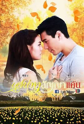 爱恨之约[电影解说]海报