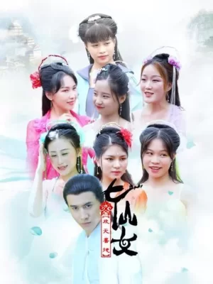 喜地欢天七仙女海报