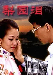 梨园泪海报