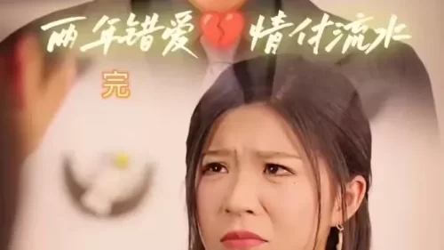 两年错爱,情付流水海报