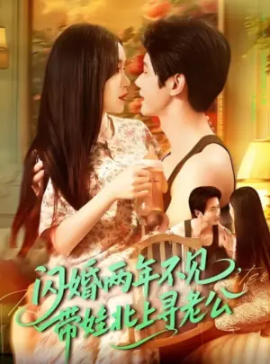 闪婚两年不见,带娃北上寻老公海报