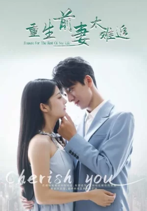 重生前妻太难追海报